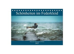 9783435343621 - Schönheiten im Federkleid - Heimische Wildvögel im Portrait (Tischkalender 2025 DIN A5 quer) CALVENDO Monatskalender
