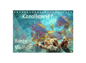 9783435345175 - Bunte Vielfalt im Korallenriff (Tischkalender 2025 DIN A5 quer) CALVENDO Monatskalender