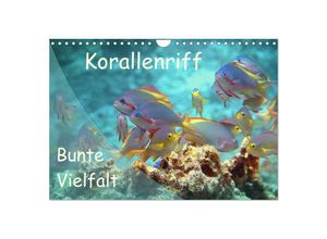 9783435346493 - Bunte Vielfalt im Korallenriff (Wandkalender 2025 DIN A4 quer) CALVENDO Monatskalender