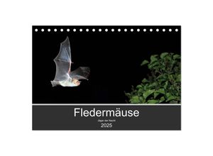 9783435346509 - Fledermäuse - Jäger der Nacht (Tischkalender 2025 DIN A5 quer) CALVENDO Monatskalender