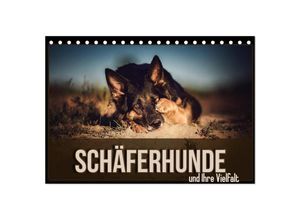 9783435346738 - Schäferhunde und Ihre Vielfalt (Tischkalender 2025 DIN A5 quer) CALVENDO Monatskalender