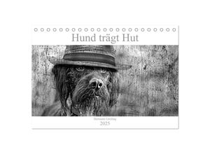 9783435346899 - Hund trägt Hut (Tischkalender 2025 DIN A5 quer) CALVENDO Monatskalender