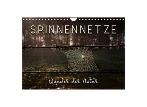 9783435348329 - Spinnennetze - Wunder der Natur (Wandkalender 2025 DIN A4 quer) CALVENDO Monatskalender