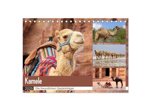 9783435348671 - Kamele - Die freundlichen Gepäckträger (Tischkalender 2025 DIN A5 quer) CALVENDO Monatskalender