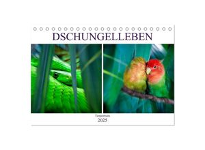 9783435350704 - Dschungelleben - Tierportraits (Tischkalender 2025 DIN A5 quer) CALVENDO Monatskalender