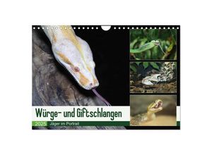 9783435351077 - Würge- und Giftschlangen (Wandkalender 2025 DIN A4 quer) CALVENDO Monatskalender