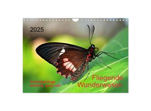 9783435351367 - Fliegende Wunderwesen Schmetterlinge weltweit ganz nah (Wandkalender 2025 DIN A4 quer) CALVENDO Monatskalender