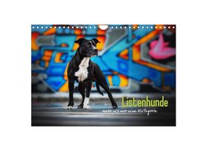 9783435351442 - Listenhunde - mehr als nur eine Kategorie (Wandkalender 2025 DIN A4 quer) CALVENDO Monatskalender