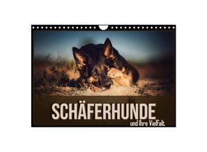 9783435351459 - Schäferhunde und Ihre Vielfalt (Wandkalender 2025 DIN A4 quer) CALVENDO Monatskalender