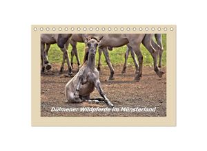 9783435352173 - Dülmener Wildpferde im Münsterland (Tischkalender 2025 DIN A5 quer) CALVENDO Monatskalender