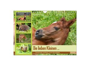 9783435353620 - Die lieben Kleinen  Tierkinder einfach zum Knuddeln (Wandkalender 2025 DIN A4 quer) CALVENDO Monatskalender