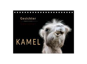 9783435355075 - Kamel Gesichter (Tischkalender 2025 DIN A5 quer) CALVENDO Monatskalender