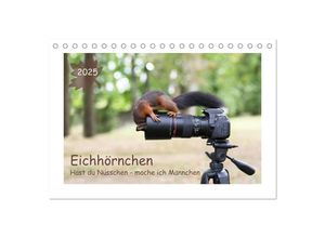 9783435356386 - Eichhörnchen - Hast du Nüsschen mache ich Männchen (Tischkalender 2025 DIN A5 quer) CALVENDO Monatskalender