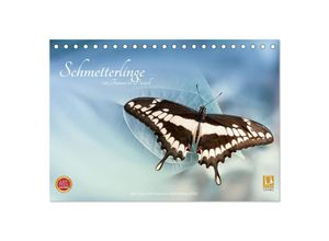 9783435356560 - Schmetterlinge - ein Traum in Pastell (Tischkalender 2025 DIN A5 quer) CALVENDO Monatskalender