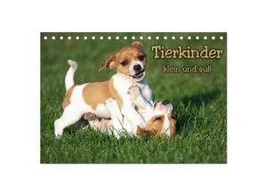 9783435356614 - Tierkinder klein und süß (Tischkalender 2025 DIN A5 quer) CALVENDO Monatskalender