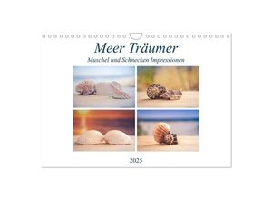 9783435356782 - Meer Träumer - Muscheln und Schnecken Impressionen (Wandkalender 2025 DIN A4 quer) CALVENDO Monatskalender