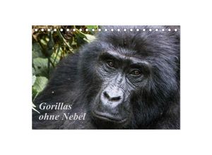 9783435358328 - Gorillas ohne Nebel (Tischkalender 2025 DIN A5 quer) CALVENDO Monatskalender