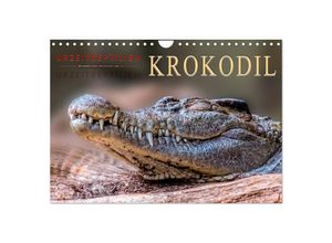 9783435359448 - Urzeitreptilien - Krokodil (Wandkalender 2025 DIN A4 quer) CALVENDO Monatskalender