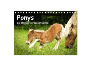 9783435361373 - Ponys die starken Persönlichkeiten (Tischkalender 2025 DIN A5 quer) CALVENDO Monatskalender