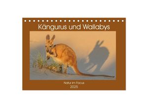 9783435361731 - Kängururs und Wallabys (Tischkalender 2025 DIN A5 quer) CALVENDO Monatskalender