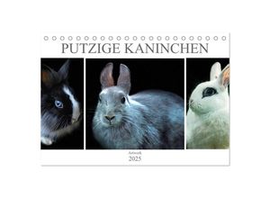 9783435361816 - Putzige Kaninchen - Artwork (Tischkalender 2025 DIN A5 quer) CALVENDO Monatskalender