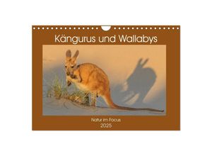 9783435362943 - Kängururs und Wallabys (Wandkalender 2025 DIN A4 quer) CALVENDO Monatskalender