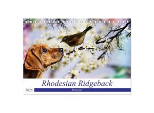 9783435363667 - Rhodesian Ridgeback - Moments (Tischkalender 2025 DIN A5 quer) CALVENDO Monatskalender