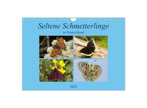 9783435369102 - Seltene Schmetterlinge in Deutschland (Wandkalender 2025 DIN A4 quer) CALVENDO Monatskalender