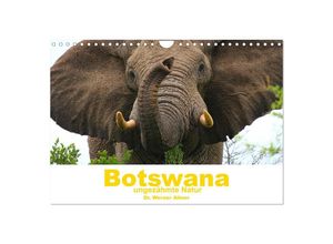 9783435369263 - Botswana - ungezähmte Natur (Wandkalender 2025 DIN A4 quer) CALVENDO Monatskalender