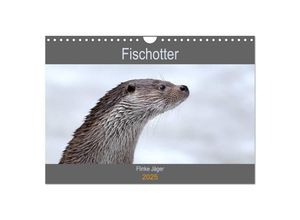 9783435371624 - Fischotter flinke Jäger (Wandkalender 2025 DIN A4 quer) CALVENDO Monatskalender