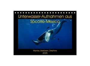 9783435373086 - Unterwasser-Aufnahmen aus Socorro-Mexico (Tischkalender 2025 DIN A5 quer) CALVENDO Monatskalender