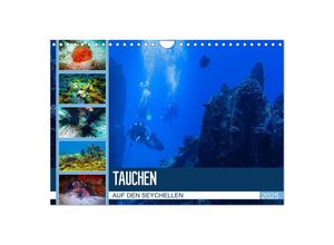 9783435373383 - Tauchen auf den Sychellen (Wandkalender 2025 DIN A4 quer) CALVENDO Monatskalender