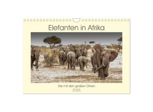 9783435373444 - Elefanten in Afrika - Die mit den großen Ohren (Wandkalender 2025 DIN A4 quer) CALVENDO Monatskalender