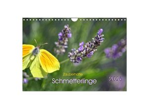 9783435373482 - Zauberhafte Schmetterlinge (Wandkalender 2025 DIN A4 quer) CALVENDO Monatskalender