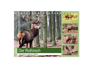 9783435378630 - Der Rothirsch - Der König in unseren Wäldern (Tischkalender 2025 DIN A5 quer) CALVENDO Monatskalender