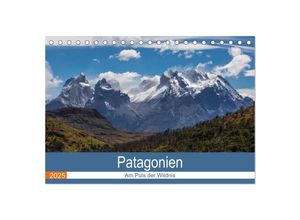 9783435378692 - Patagonien - Am Puls der Wildnis (Tischkalender 2025 DIN A5 quer) CALVENDO Monatskalender