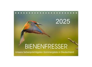 9783435378951 - Bienenfresser unsere farbenprächtigsten Sommergäste in Deutschland (Tischkalender 2025 DIN A5 quer) CALVENDO Monatskalender