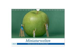 9783435379088 - Miniaturwelten - Kleine Leute aus der Nachbarschaft (Wandkalender 2025 DIN A4 quer) CALVENDO Monatskalender