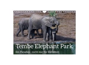 9783435381326 - Tembe Elephant Park Ein Paradies - nicht nur für Elefanten (Wandkalender 2025 DIN A4 quer) CALVENDO Monatskalender