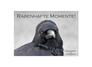 9783435381784 - Rabenhafte Momente! (Tischkalender 2025 DIN A5 quer) CALVENDO Monatskalender