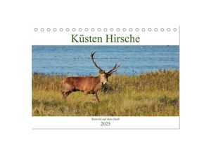 9783435382446 - Küsten Hirsche - Rotwild auf dem Darß (Tischkalender 2025 DIN A5 quer) CALVENDO Monatskalender