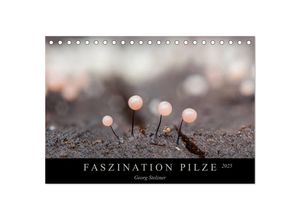 9783435383535 - FASZINATION PILZE 2025 (Tischkalender 2025 DIN A5 quer) CALVENDO Monatskalender