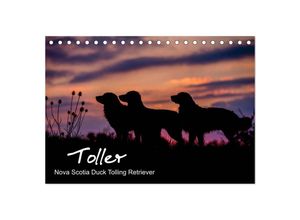 9783435383771 - Toller - Nova Scotia Duck Tolling Retriever (Tischkalender 2025 DIN A5 quer) CALVENDO Monatskalender