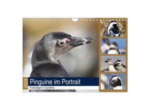 9783435383788 - Pinguine im Portrait - Frackträger in Südafrika (Wandkalender 2025 DIN A4 quer) CALVENDO Monatskalender