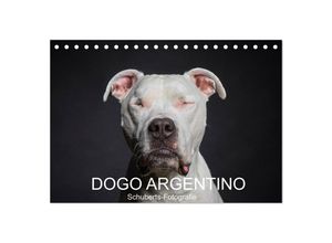 9783435383900 - DOGO ARGENTINO (Tischkalender 2025 DIN A5 quer) CALVENDO Monatskalender