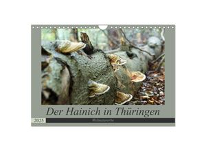 9783435386215 - Der Hainich in Thüringen - Weltnaturerbe (Wandkalender 2025 DIN A4 quer) CALVENDO Monatskalender