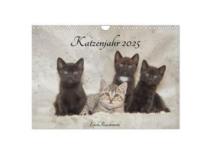 9783435388943 - Katzenjahr 2025 (Wandkalender 2025 DIN A4 quer) CALVENDO Monatskalender