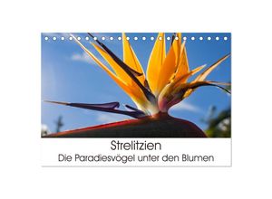 9783435389124 - Strelitzien - die Paradiesvögel unter den Blumen (Tischkalender 2025 DIN A5 quer) CALVENDO Monatskalender