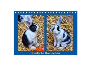 9783435393091 - Niedliche Kaninchen (Tischkalender 2025 DIN A5 quer) CALVENDO Monatskalender