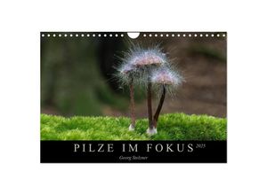 9783435393350 - PILZE IM FOKUS 2025 (Wandkalender 2025 DIN A4 quer) CALVENDO Monatskalender